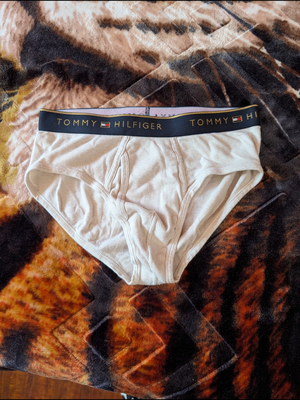 Tommy Hilfiger Men's Cream Briefs with Navy Branded Waistband